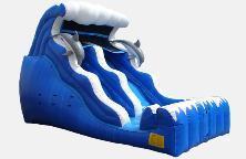 Water Slides and More Water Slides and More